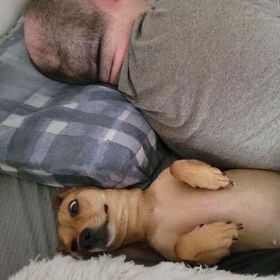 markvella's profile picture. Film maker/ nerd, believer that people can be good and does not subscribe to horror films destroying society