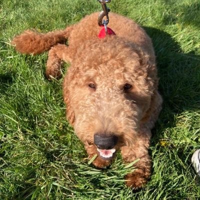 Hi5ChrisW's profile picture. Just a city boy living a country life with a beautiful wife and three toe headed kids in Sutliff, IA.