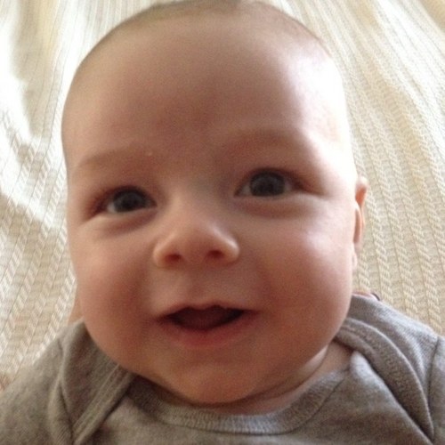 MegNelso's profile picture. 