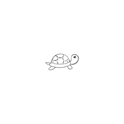 うさぎとかめさんのプロフィール画像