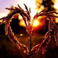 Lana Halleye (@hiking_hippy) 's Twitter Profile Photo Lana Halleye (@hiking_hippy) 's Twitter Profile Photo