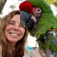 Celeste Leander (@cleander) 's Twitter Profile Photo