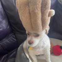 Treva (@scorchwtw) 's Twitter Profile