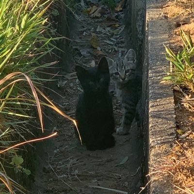 sokonashi0718's profile picture. これは、私の趣味垢です。 仕事上では出せない色々な欲に対しての探求心からこの垢を作ったので😜
