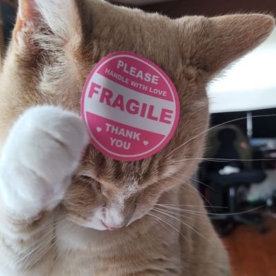 Perezmicaela12's profile picture. El corazón sobre todo 💚