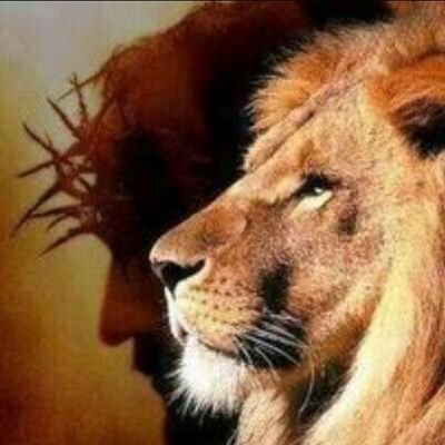 VasquezDidier's profile picture. 