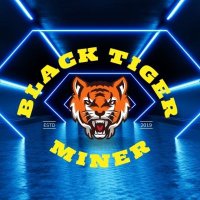 Black Tiger Miner(@BlackTigerMiner) 's Twitter Profile Photo