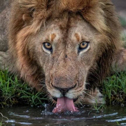 MudaliJuma38157's profile picture. 