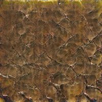 りお🍎＠アフリカに住みたい♦️ (@kathylewis73943) Twitter profile photo