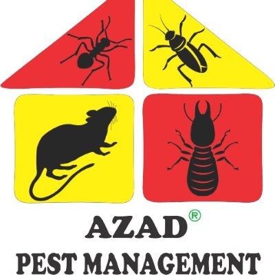 Azad Pest Management is ready to solve any kind of harmful insects and pest issues with proven IPM strategies. Call us at 03250440353 or WhatsApp at 03102764311