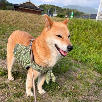 エアブラシ、鈑金、看板制作