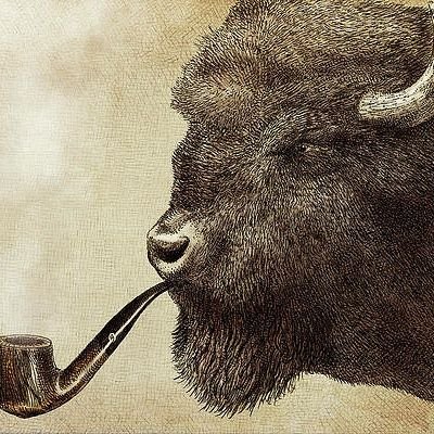 MOGcrypt's profile picture. mog of @EclipseFND