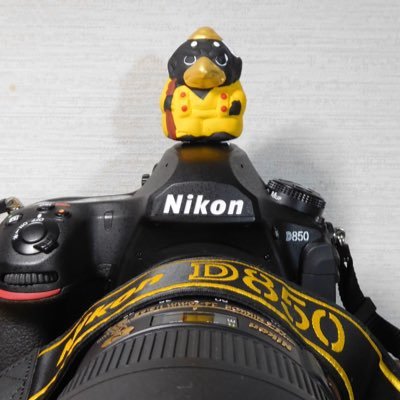 #写真 #カメラ #レンズ #ビオトープ ネタが栄養源の👓。使用しているカメラ機材は基本 #Nikon。#LUMIXS1R と #Hasselblad907X は別腹。【無言フォロー失礼します。基本“いいね”は文字通り、“RP”は「興味深い」という意味合いで使っています。】