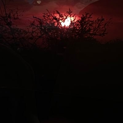 bullock2pu's profile picture. 