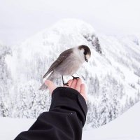 🇺🇸 (@qzoan3) 's Twitter Profile