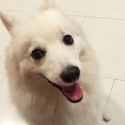 MpM99zwo5c196's profile picture. MY new account friends the old one got hacked. plz no DM🚫 no cash app🚫,#Bitcoin, a bitcoin investor, I Never Explain Myself To ANYONE plz i have a Boyfriend