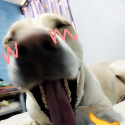 KuBlingbling's profile picture. "Esto no es anecdótico. Es político."