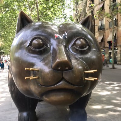 JillisWagenaar's profile picture. 