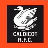 Caldicot Silver Geese(@CotSilverGeese) 's Twitter Profile Photo