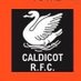 Caldicot Silver Geese (@CotSilverGeese) Twitter profile photo