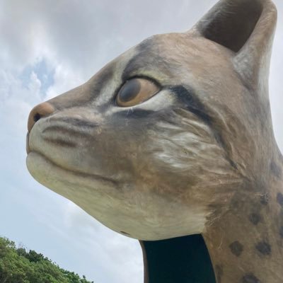 テックアカデミーはじめての副業85期生☆2023.7.17最終課題合格☆実力判定テスト合格を目指して勉強中!だったのですが、一度諦めて離脱。2024.10より勉強し直し、再チャレンジです!