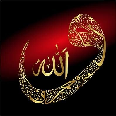 talhacer's profile picture. 