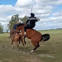 José Aguirre (@josagui61770931) 's Twitter Profile