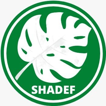 ShadefEco Profile Picture