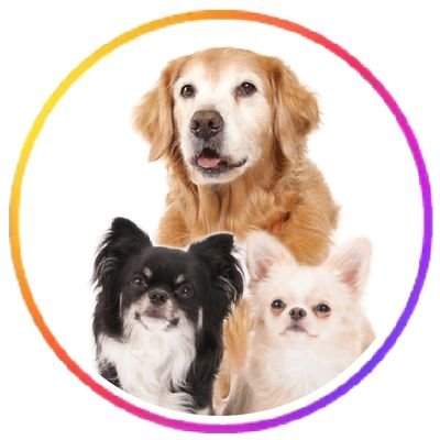inukatsunikki's profile picture. 🐶わんこ達と遊ぶ仕事をしています👩

                  💻愛犬との活動をブログに書いていますᝰ✍🏻                      

             よろしくお願いします☺