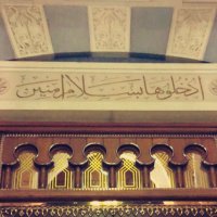 ..🌿 (@dood_1410) 's Twitter Profile Photo