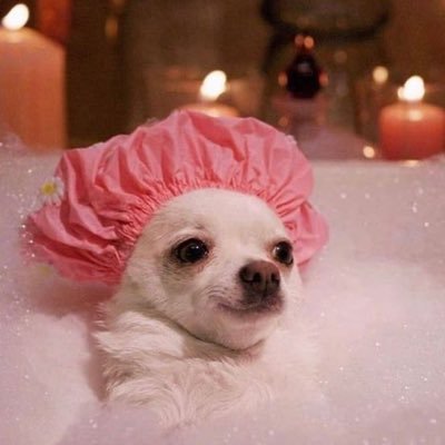 imperottomano's profile picture. 「 mi piace la pesca 」 ͏͏͏͏͏͏⠀⠀⠀⠀⠀ ⠀⠀⠀⠀ ͏͏͏͏͏͏⠀⠀⠀ ͏͏͏͏͏͏ ͏͏͏͏͏͏ ͏͏͏͏͏͏ ͏͏͏͏͏͏ ͏͏͏ ͏͏͏͏͏͏ ͏͏͏͏͏͏ ͏͏͏͏͏͏ ͏͏͏͏ ͏͏͏͏͏͏ ͏͏͏͏͏͏ ͏͏͏͏͏͏ ͏͏͏͏͏͏ ͏͏͏͏͏͏⠀she/her✨