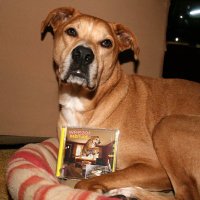 Name (@lorc4n712) 's Twitter Profile