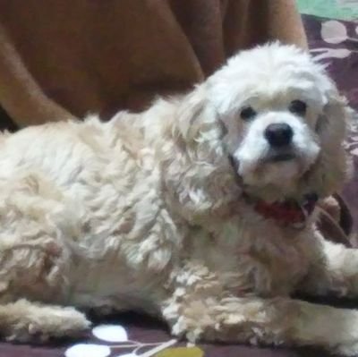 BwFEcIQNEt97619's profile picture. 