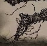 Observationseye's profile picture. tweetong