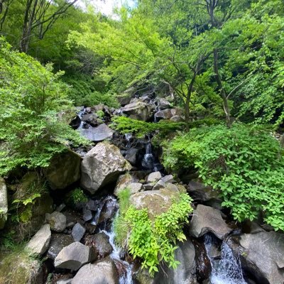 AbGf6R35WGXbQlX's profile picture. 今日は