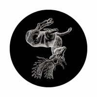 Broken Antler (@brokenantlermag) 's Twitter Profile