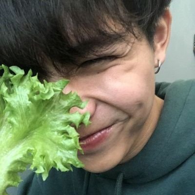 unvulcanodentro's profile picture. 20 | gemini |