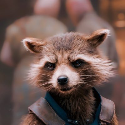 clem__prt's profile picture. inconsolable mais pas insolvable