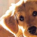 Amy Younce Hempstead - @auburngrl91 - Twitter