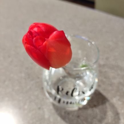 Royourboat333's profile picture. God bless America 🇺🇸 NO DMs