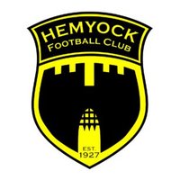 Hemyock FC Women(@hemyockfcwomen) 's Twitter Profile Photo