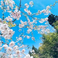 おにのえ (@tototothoruru) 's Twitter Profile