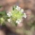 Conserva3 Thymus (@conserva3thymus) Twitter profile photo Conserva3 Thymus (@conserva3thymus) Twitter profile photo