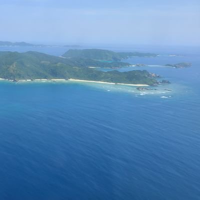 btni4PzSUo15988's profile picture. 