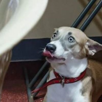 elsieqty's profile picture. 