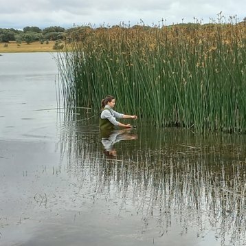 maria_diatomist's profile picture. PhD Student in @unileon 
🦠💧🏞️🔬