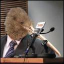 The Political Kiwi Blog now has its own separate account for tweeting.