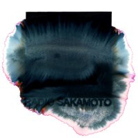 RADIO SAKAMOTO (@radiosakamoto) 's Twitter Profile