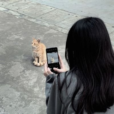 amoresdump01's profile picture. akun nyambat