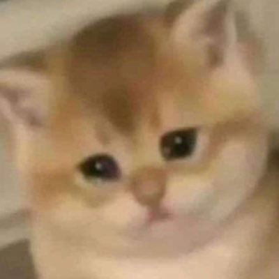 estetikmoon's profile picture. es obvio maldita payasa